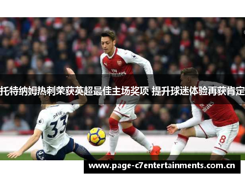 托特纳姆热刺荣获英超最佳主场奖项 提升球迷体验再获肯定