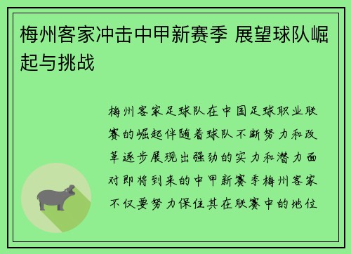 梅州客家冲击中甲新赛季 展望球队崛起与挑战
